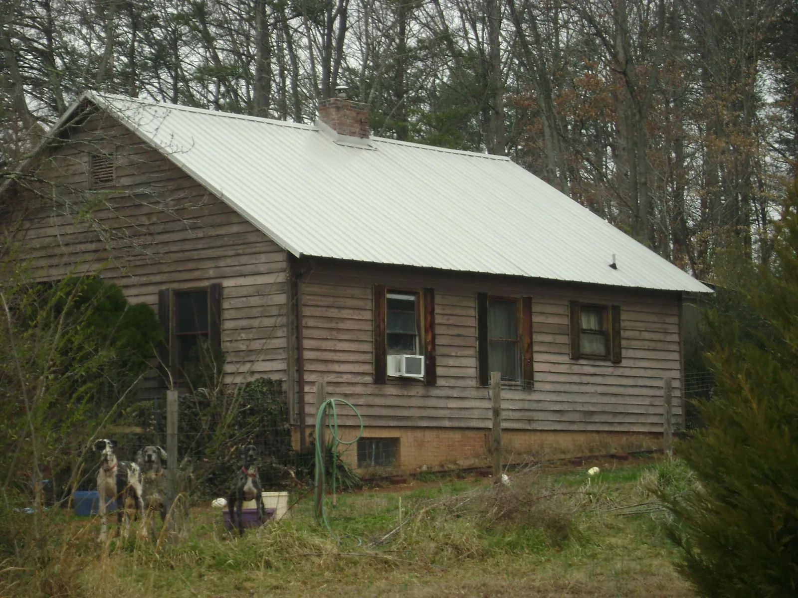 White metal roof on an old wood sided farmhouse, from a Asphalt Shingle Roof Repair job in Mandan